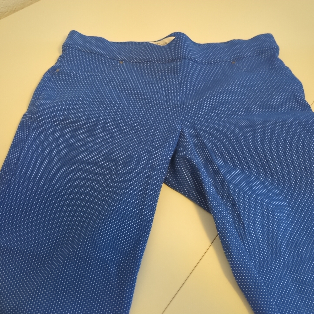 Blue Polka Dot Straight Leg Women's Pants